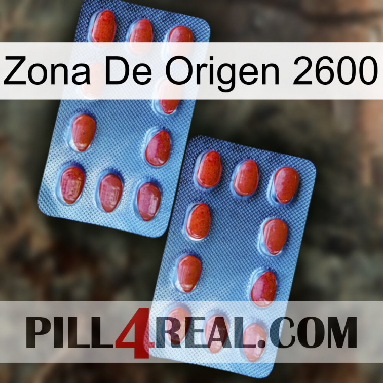 Home Zone 2600 05